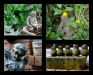 annes-garden1-300x240.jpg