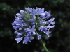 annes-redux-027.jpg