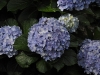 annes-redux-059