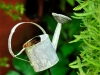 watering-can-up-close.jpg