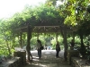 Gazebo intrance to Terrace Garden at Duke Univ.