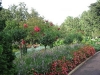 Terrace Garden at Duke University
