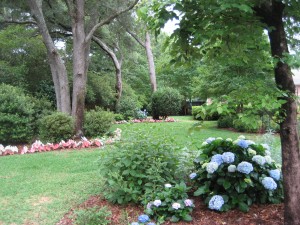 img_16421
