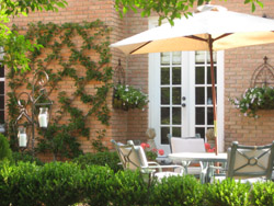 belgian-fence-espalier-back-yard-smaller-website3