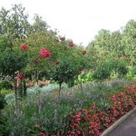 Terrace Garden- Duke University